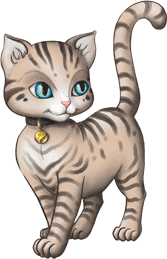cat_2.png