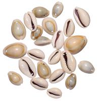 Подвеска ракушка, 10-20мм, Каури с одной дырочкой, базовый материал - ракушка, серая с желтым, 15 грамм