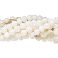 Бусина из ракушки, 4-5мм, белая, 80 шт., низка