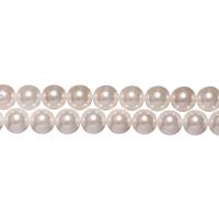 Бусина из ракушки, 8мм, качество В, жемчуг Майорика, белый, 47 шт., низка