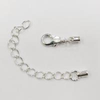 Застежка-карабин 12х6мм с удлиняющей цепочкой и клеевыми концевиками 5х2.8мм (внутренний размер 2мм), Beadalon, базовый материал - латунь, посеребренные, 2 шт. Застежка-карабин 12х6мм с удлиняющей цепочкой и клеевыми концевиками 5х2.8мм (внутренний размер 2мм), Beadalon, базовый материал - латунь, посеребренные, 2 шт.