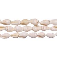 Бусина из ракушки, 7х4 - 12х8мм, белая, 110-170 шт., низка