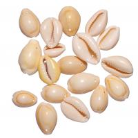 Подвеска ракушка, 17-25мм, Каури с одной дырочкой, базовый материал - ракушка, молочная с желтым, 15 грамм