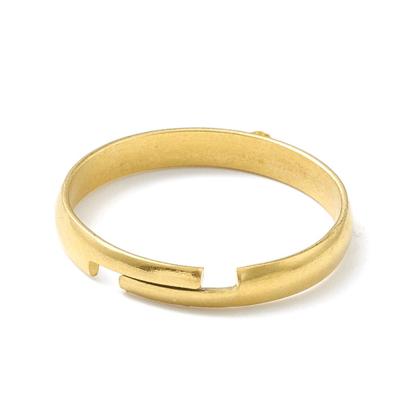 <p>Основа для кольца с одной петелькой для декорирования. Ширина кольца 3 мм, внешний диаметр петельки 2.5 мм. Размер кольца в сдвинутом состоянии - 18 мм. Кольцо разъемное, размер регулируется. Базовый материал - нержавеющая сталь марки 304, сверху покрытие золотистого цвета. Оттенок может отличаться от фотографии и в разных поставках. На кольце возможны небольшие пятнышки, царапинки. Цена за 2 шт.</p>