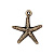 Подвеска, 21х18мм, TierraCast, морская звезда, базовый материал - оловянный сплав, бронзовая с чернением, 1 шт.