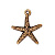 Подвеска, 21х18мм, TierraCast, морская звезда, базовый материал - оловянный сплав, позолоченная с чернением, 1 шт.