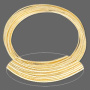 <p>Проволока с памятью для браслета, нержавеющая сталь с позолотой. Оттенок может отличаться от фотографии. Толщина проволоки 0.6-0.75 мм, диаметр 4,45 см. Цена за 5 витков.</p><p>ВНИМАНИЕ: на проволоке возможны темные пятнышки.</p>