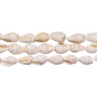 <p>
Натуральные бусины из ракушек. Могут существенно отличаться по форме и размеру. Некоторые ракушки белые, на некоторых есть узор из коричневых точек. Оттенок может отличаться от фотографии и в разных поставках (могут попадаться полностью белые или полностью пятнистые низки). Цена за одинарную низку 145 см (около 110-170 бусин в зависимости от размера).
</p>